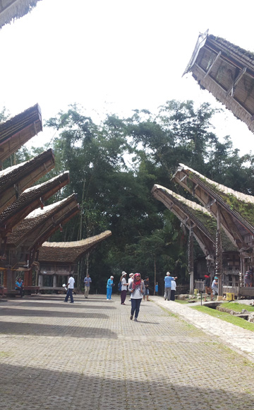 TORAJA MAKASSAR RAMMANG RAMMANG TOUR 4 HARI / 3 MALAM
